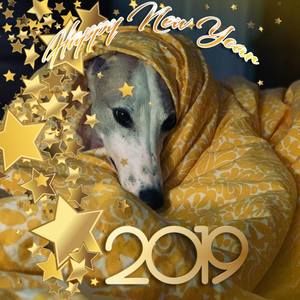 Meet your Posher, Sandy